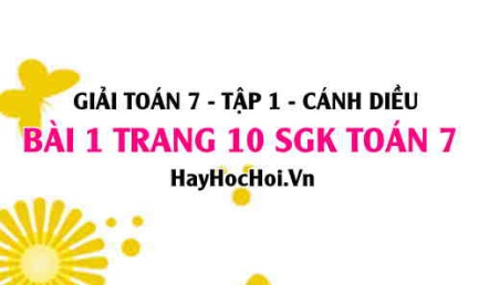 Giải bài 1 trang 10 Toán 7 Tập 1 SGK Cánh Diều